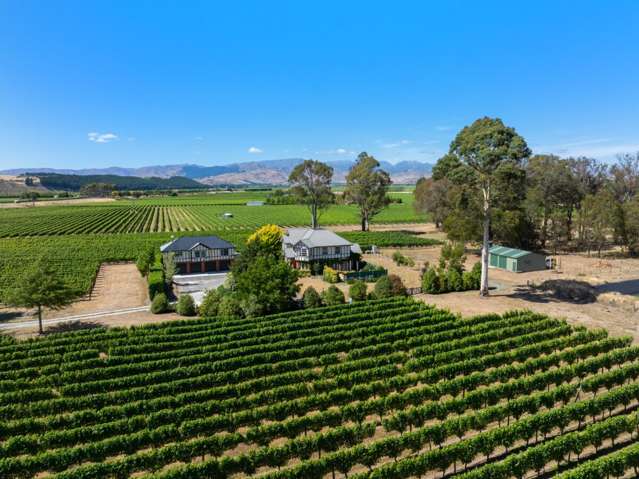 32 Guernsey Road Renwick_3