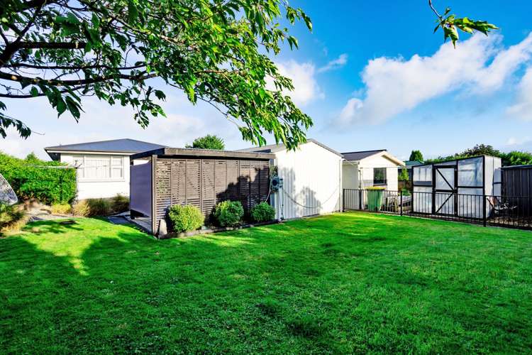 5 Pine Crescent Hargest_18