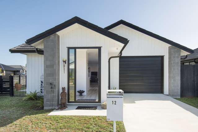 12 Fontana Street Papamoa_2