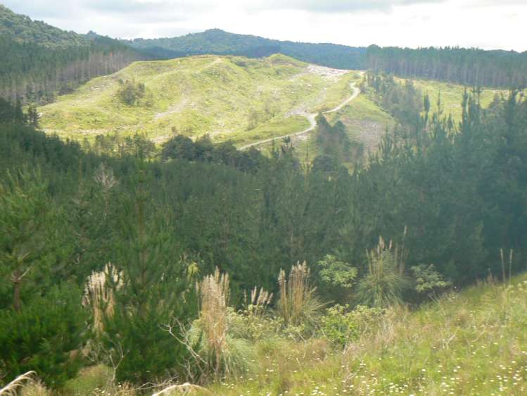 Lot 65 Stoney Creek Road Mangamuka_8