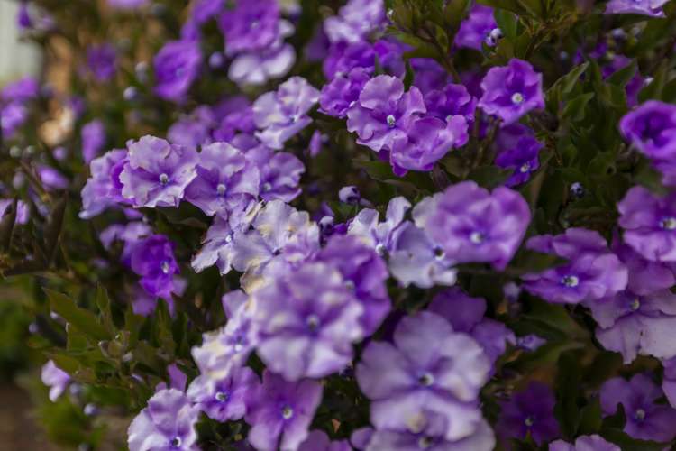 113 Hillcrest Road Raumati Beach_22