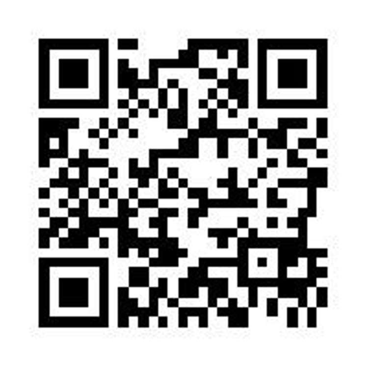 11 Roberta Drive Somerfield_13