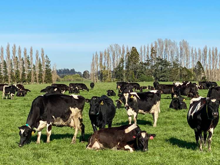 1128 Wyndham Road Wyndham_18