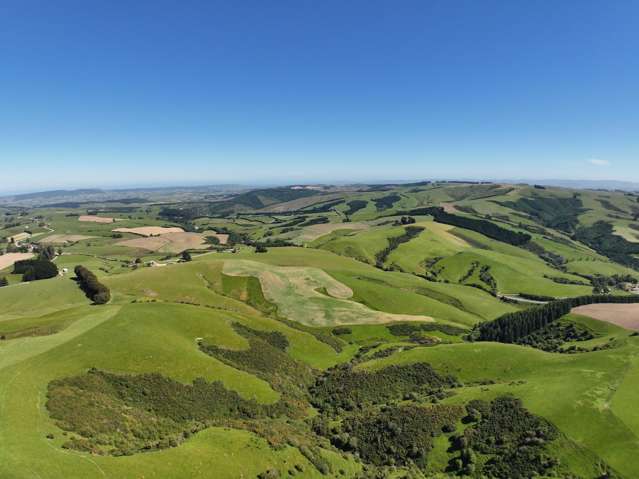 1916 Manuka Gorge Road Waitahuna Gully_3