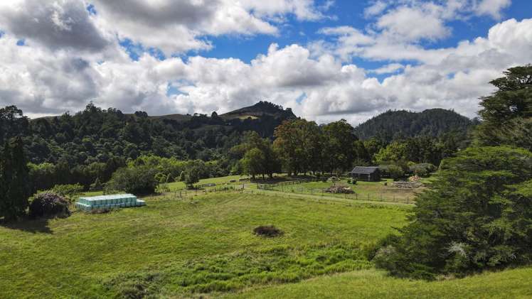 55 County Road Paeroa_8