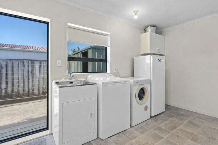 153A Carrington Street Vogeltown_20