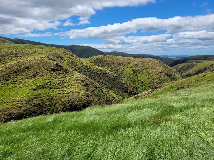 72 Wrights Road Waitaki_7