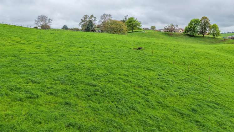 Pine Road Putaruru_6