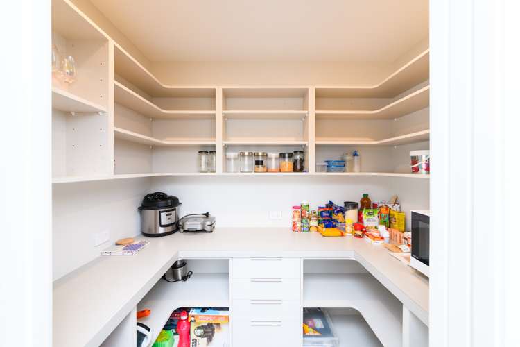 2a Massey Street Palmerston North Central_6