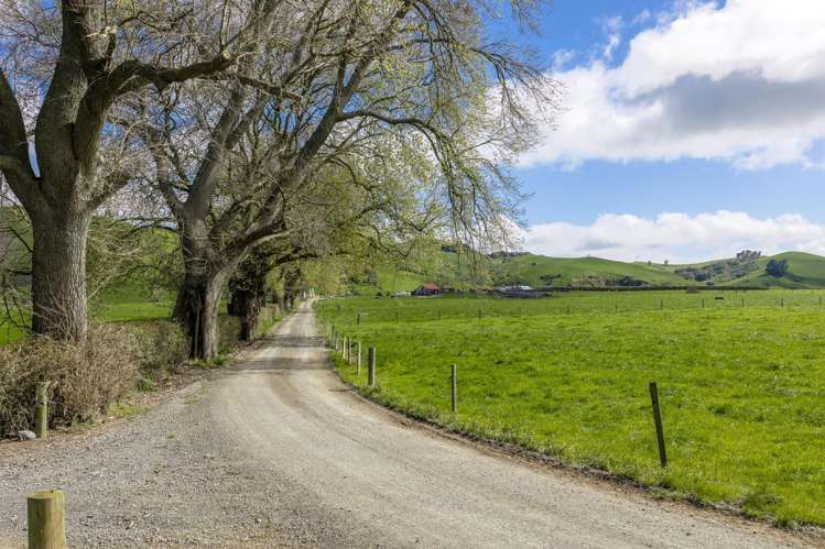 1356 Otorohanga Road, State Highway 3 Otorohanga_15