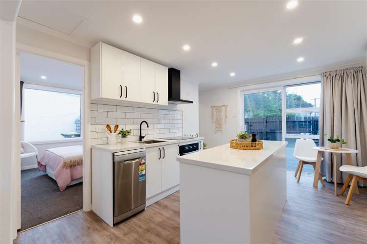 66 Fingall Street South Dunedin_18