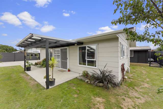 11a Rimu Street Levin_2