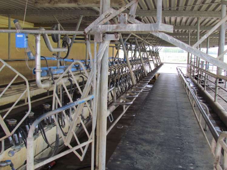 354 Access Road Ruawai_1