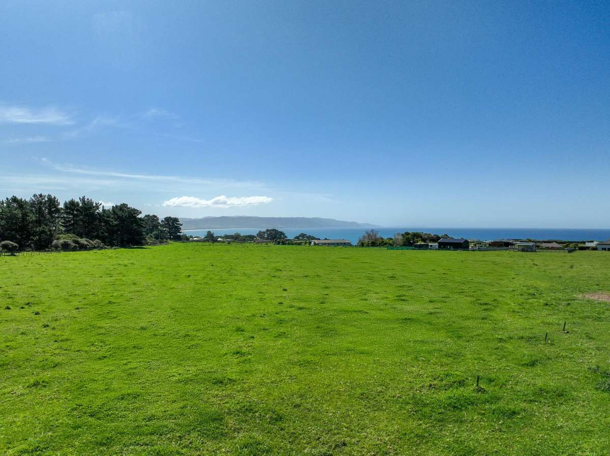 Lots 100 and 201 Waihinahina Way_1