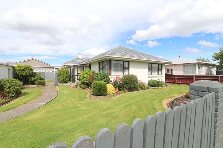 151 Ward Street Waverley_28