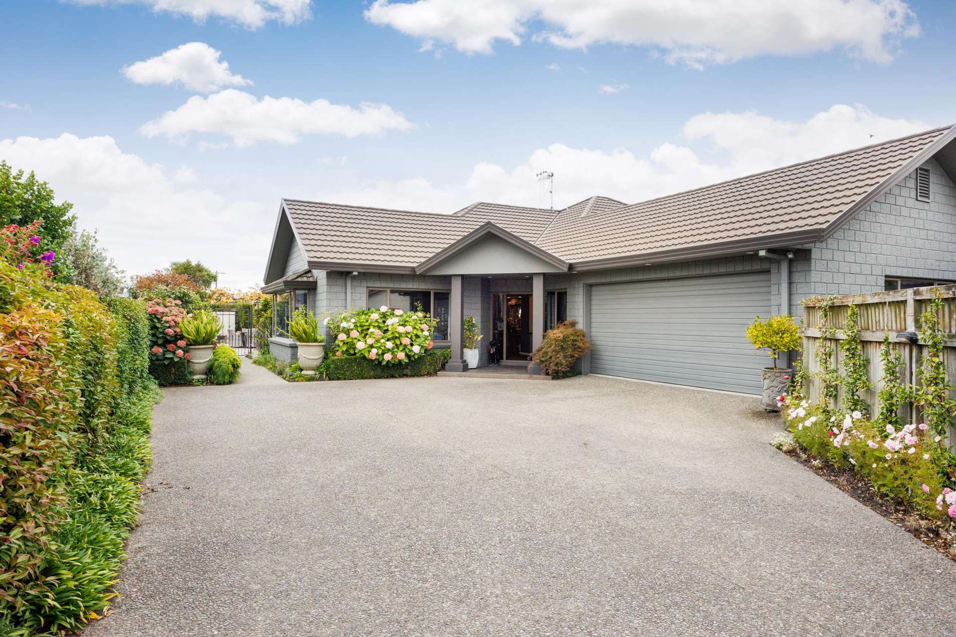 23 North Street Palmerston North_0