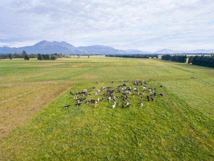 293 Hackthorne Road Carew_12