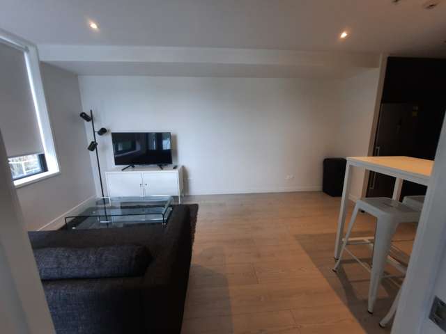 147 Nelson Street 10015_2