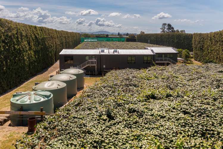 49 Lancaster Road Aongatete_6