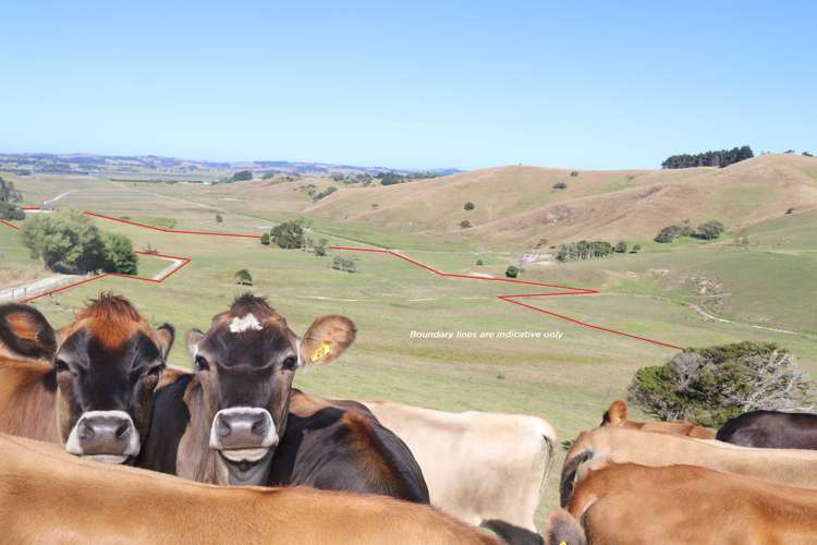 182 Morrison Road Arapohue_13