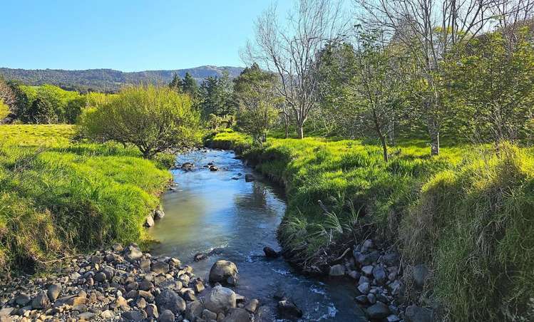 Wekaweka Road Waimamaku_7