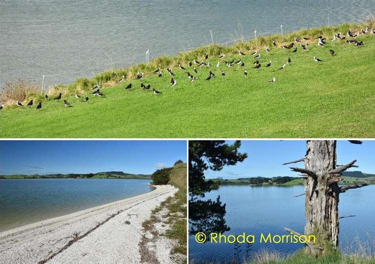 296 Metcalfe Road Matakohe_58