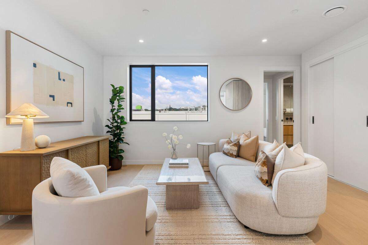 81 Carlton Gore Road_0