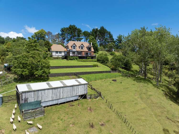 180 Ara-kotinga Whitford_20