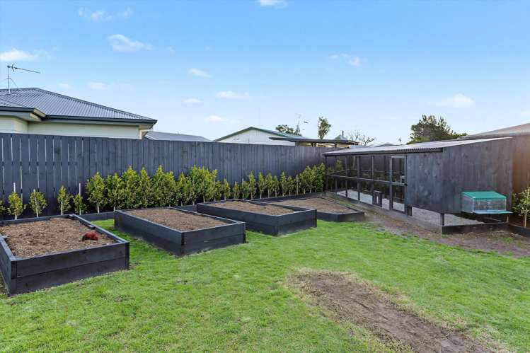 60 Gloucester Road Mt Maunganui_19