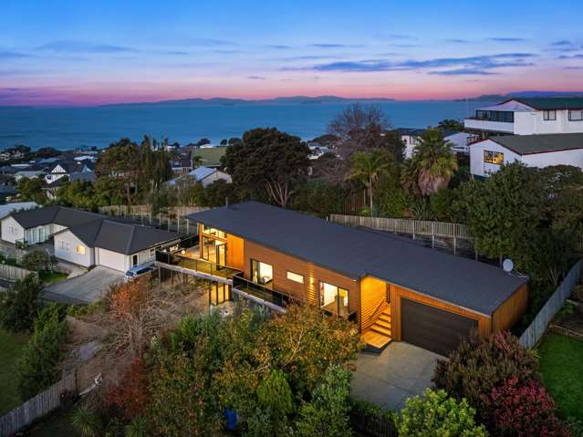 Elevated, Modern Living