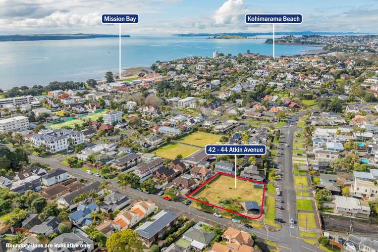 42-44 Atkin Avenue Mission Bay_1