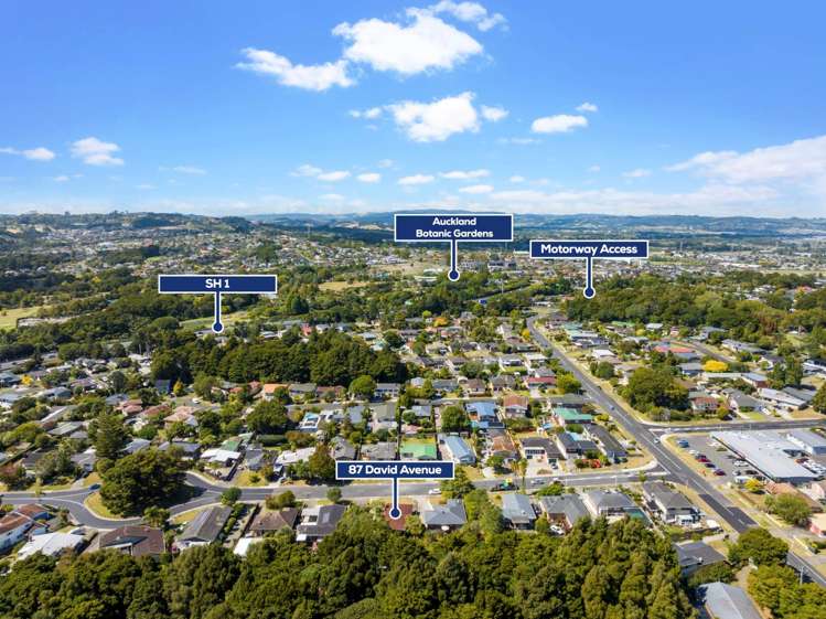 87 David Avenue Hillpark_21