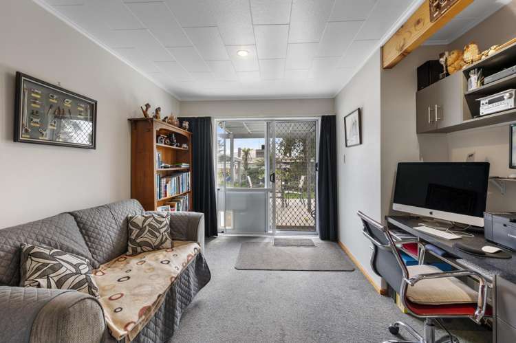 36 Southwark Avenue Tamatea_5