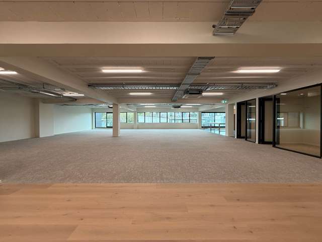 11-13 Falcon Street Parnell_2