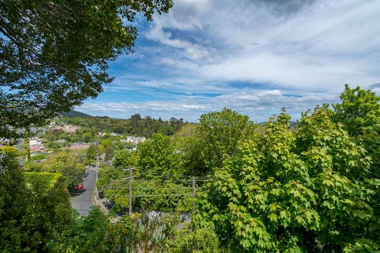 89 Buccleugh Street North East Valley_15