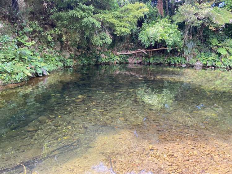 266e Hot Springs Road Hauraki Surrounds_10