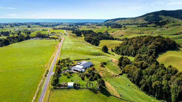 203 Upper Timaru Road Pitone_1