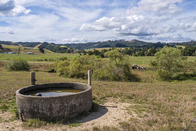 359 Waiotu Block Road Hukerenui and Surrounds_28