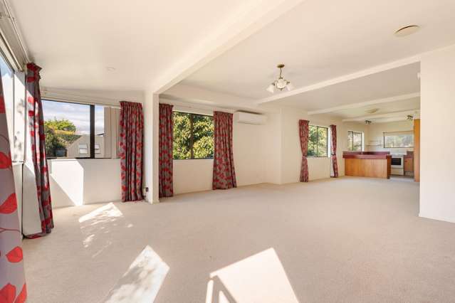 19 Ninth Avenue Tauranga_4