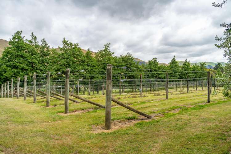 31 Whakarua Road Hinakura_13