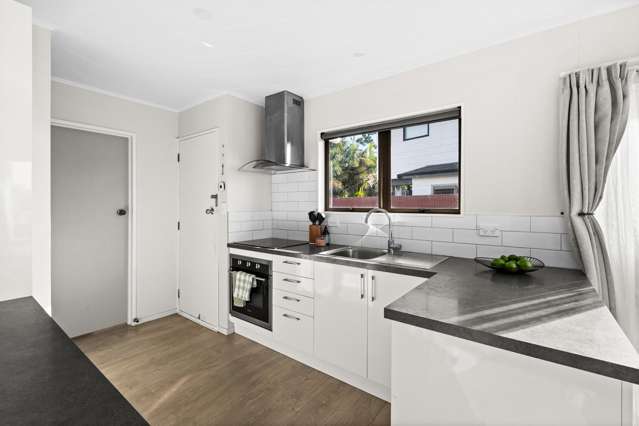 27 Elliott Street Taradale_1