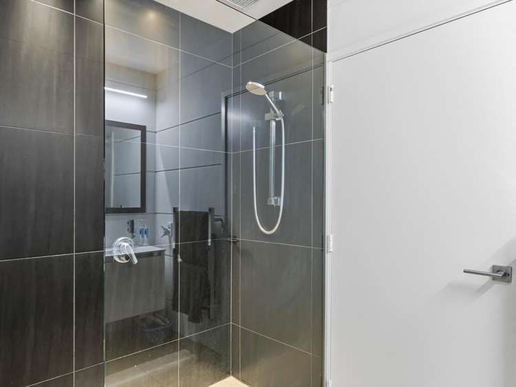 137 Soleares Avenue Mount Pleasant_16