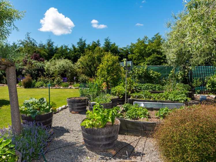 4 Cooper Street Wairau Valley_15