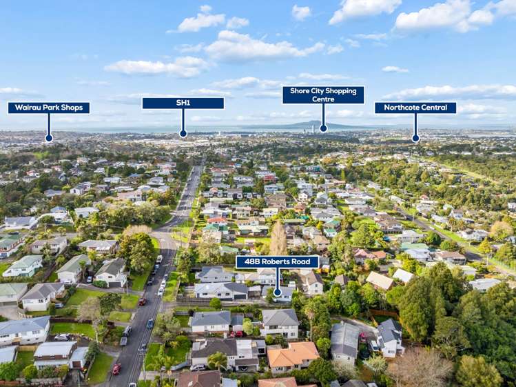 48B Roberts Road Glenfield_17