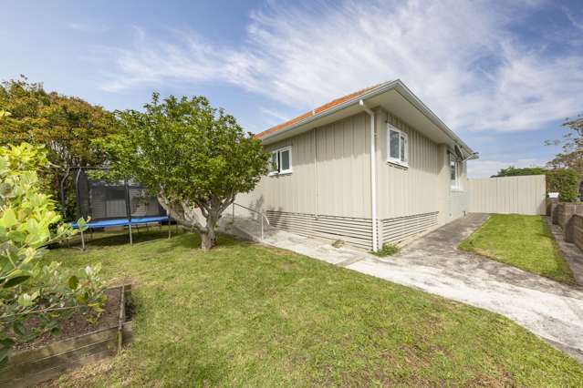 217 Arthur Street Onehunga_1