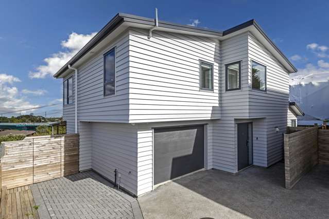 14a Bridge Street Panmure_1