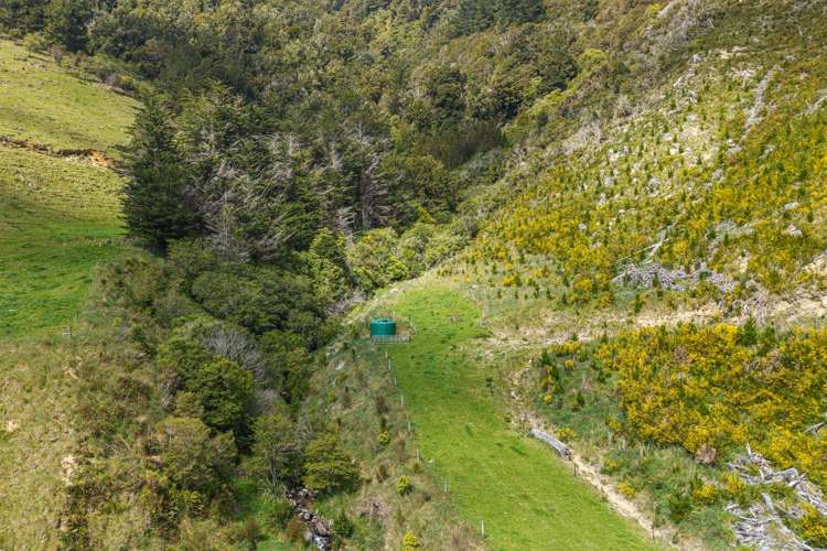 650 Ronga Road Rai Valley_38