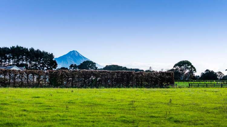 84 Mawhitiwhiti Road Normanby_21