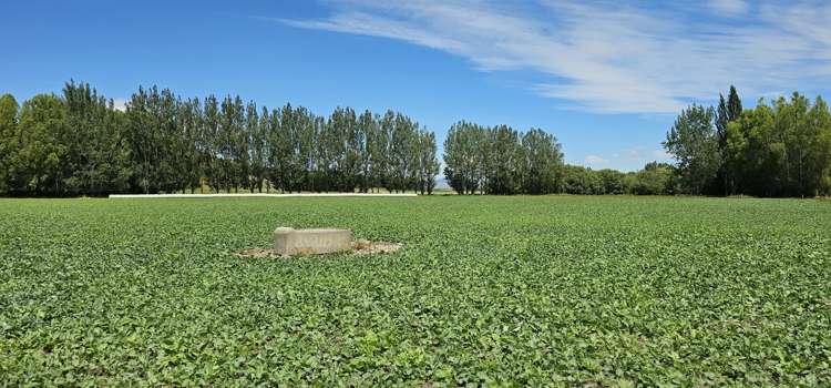 289 Otama Valley Road Otama_2