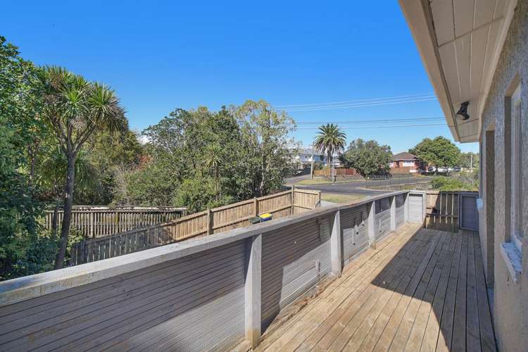 101 Seabrook Avenue New Lynn_11